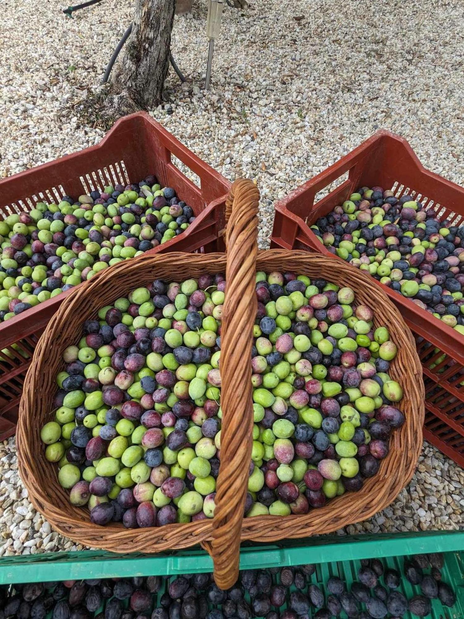 L'Oliveraie Robion en Luberon Екстер'єр фото